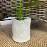 Diane Pot 4''