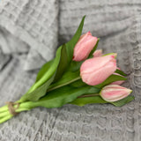 Real Touch Artificial Tulips