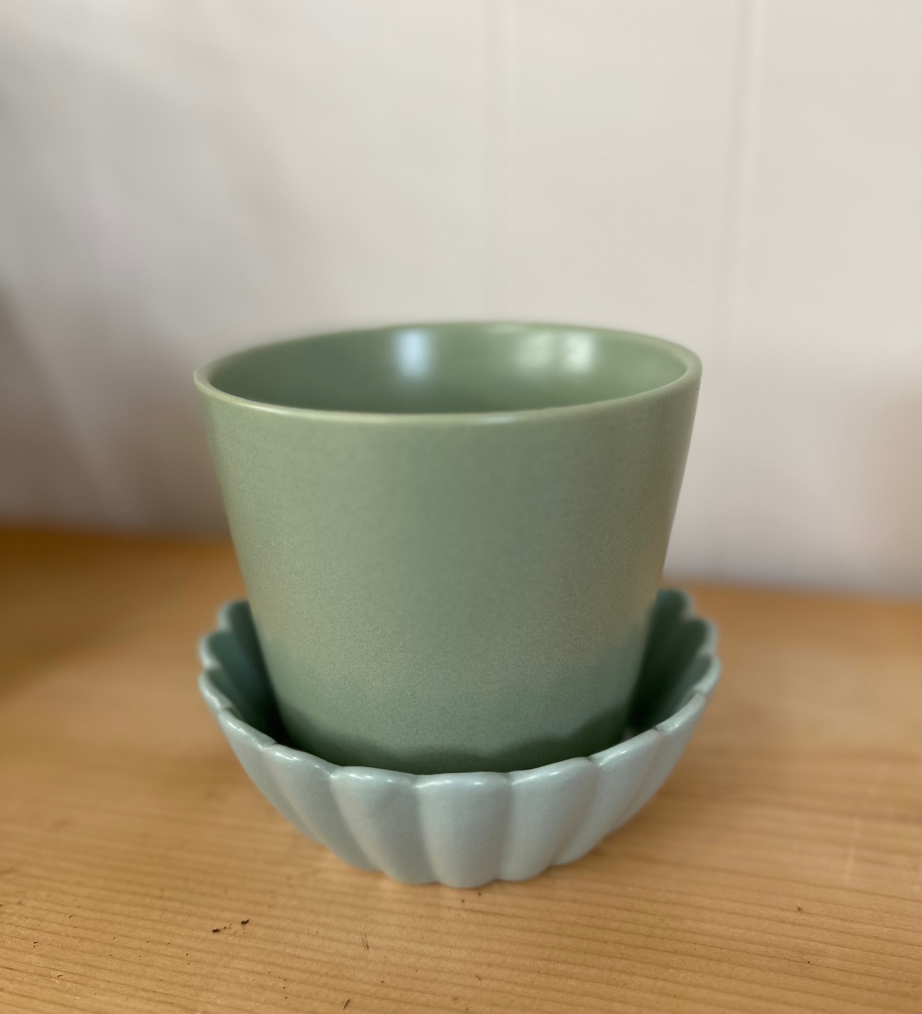 Springvale Pot