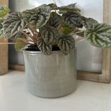 Green Glazed Pillar Pot