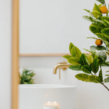 Blueberry Farm Soy Wax Candle