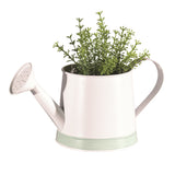 Watering Can Planter Pot