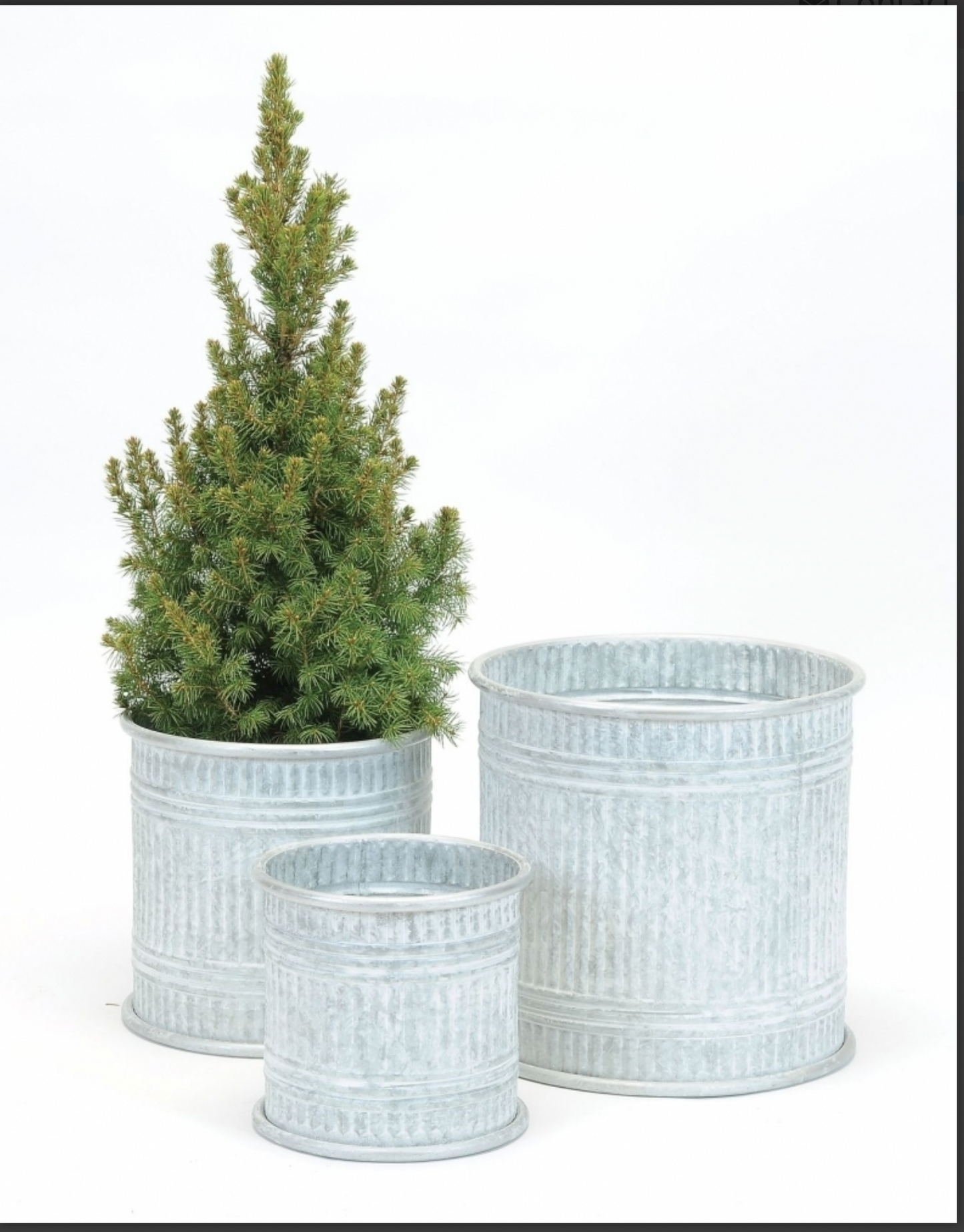 GALVANIZED PLANTERS WHITEWASH