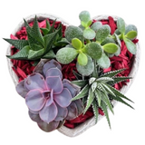 Valentines Stone Heart Succulent Garden