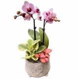 Valentines Stone Heart Orchid Pedestal