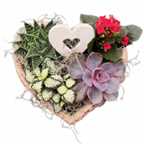 Valentines Stone Basket Succulent Heart