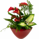 Valentines Red Eileen Planter