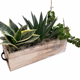 Rectangular Succulent Box Planter