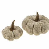 Floral Print Pumpkin