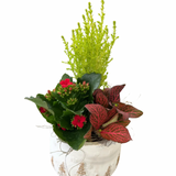 Christmas White Snow Tree Planter