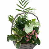 Large Light Grey Wicker Planter Garden