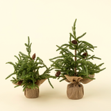 Winterwood Tabletop Tree