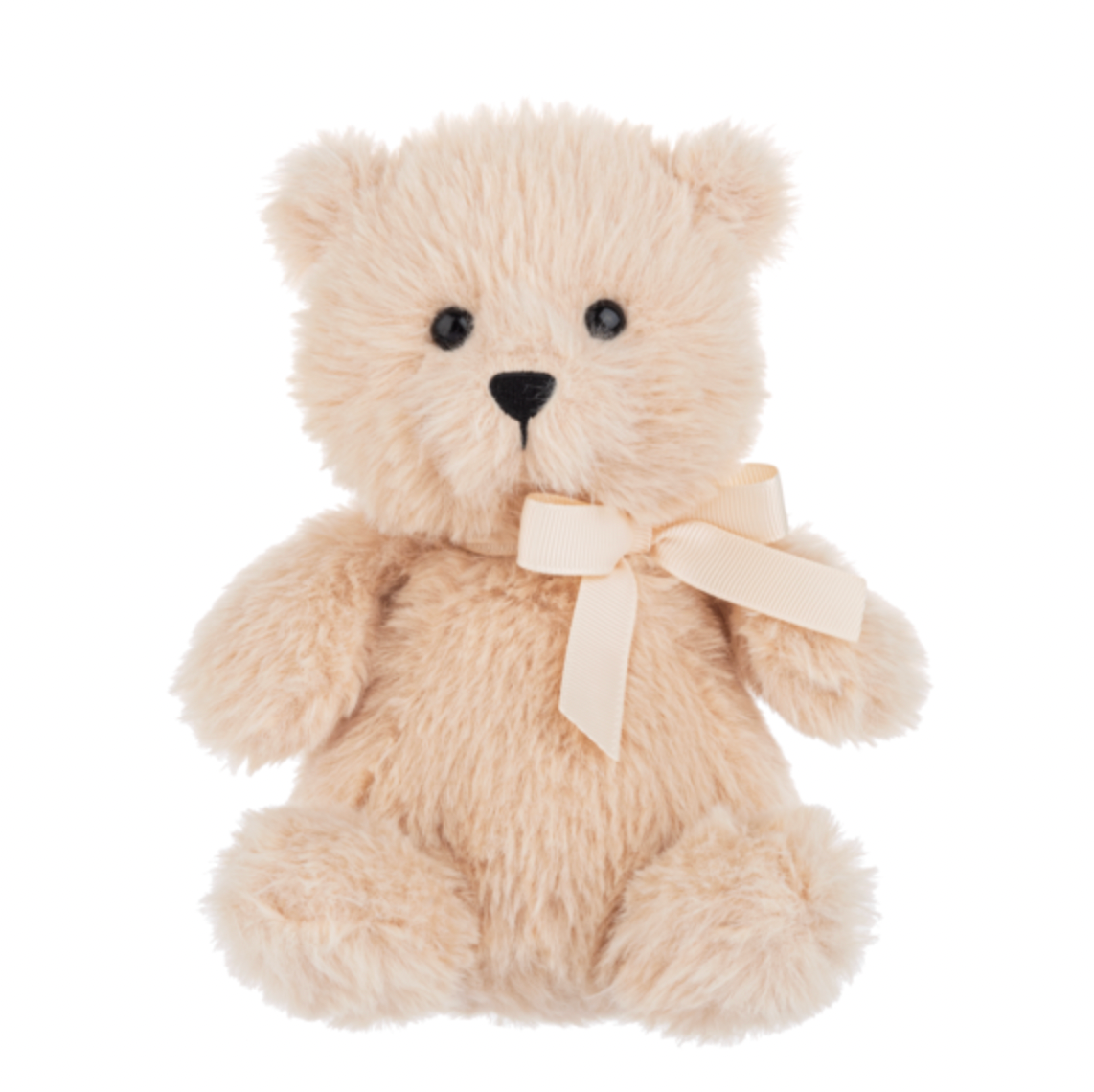 Teacup Teddy