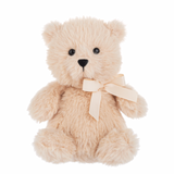 Teacup Teddy