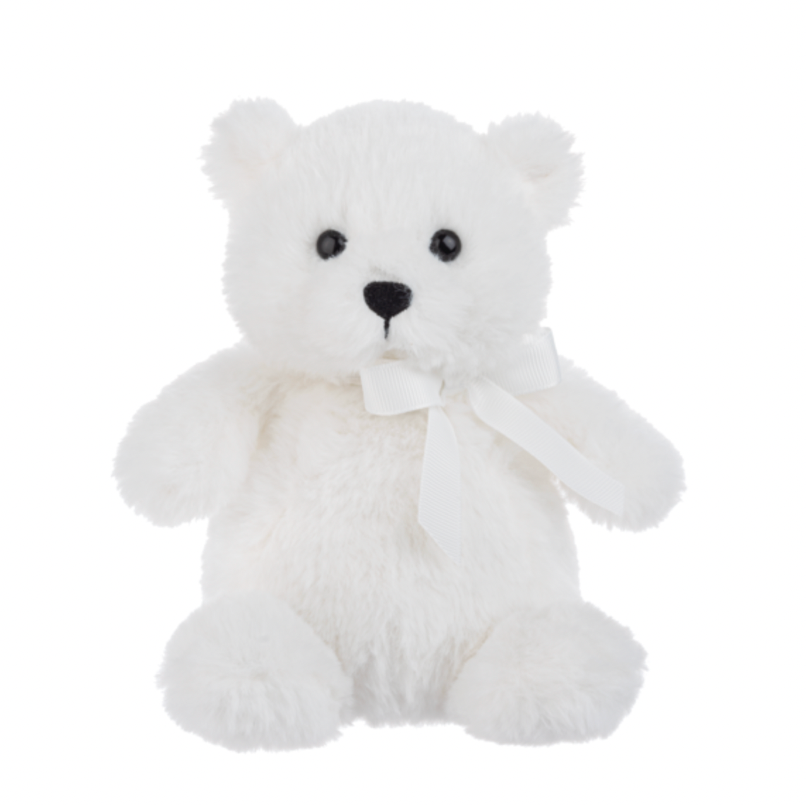 Teacup Teddy