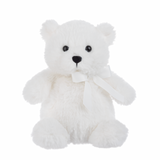 Teacup Teddy