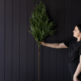 Norfolk Pine Real Touch Green Faux Stems: Large Stem -42"