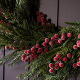 Red Plum Frosted Berry Norfolk Cypress Wreath - 24": LED Pre Lit