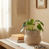Ceramic Planter Pot, Speckled with Drainage - Marisol: Large 7.25"