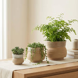 Ceramic Planter Pot, Speckled with Drainage - Marisol: Large 7.25"
