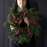 Red Plum Frosted Berry Norfolk Cypress Wreath - 14"