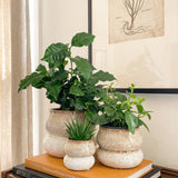 Ceramic Planter Pot, Stacked with Drainage - Noemi: Large 6.5"