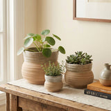 Ceramic Planter Pot, Speckled with Drainage - Marisol: Large 7.25"