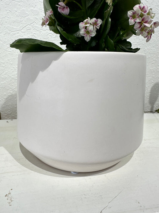 Peter 6" White Matte Pot