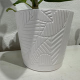 Abstract Leaf Print Pot