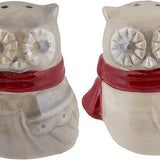 Winter Owl Salt and Pepper Shaker Set