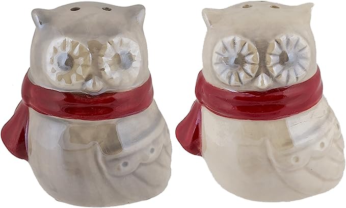 Winter Owl Salt and Pepper Shaker Set