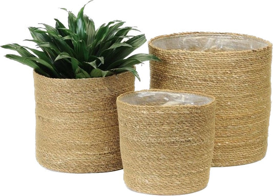 Sea grass Plant Basket