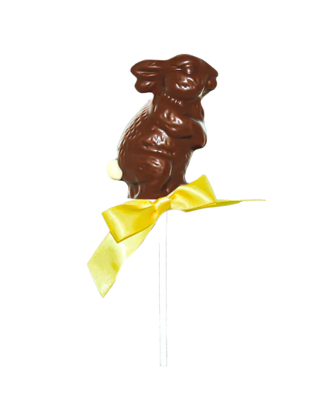 Chocolate Bunny Lollipop