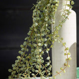 White Bottle Vase