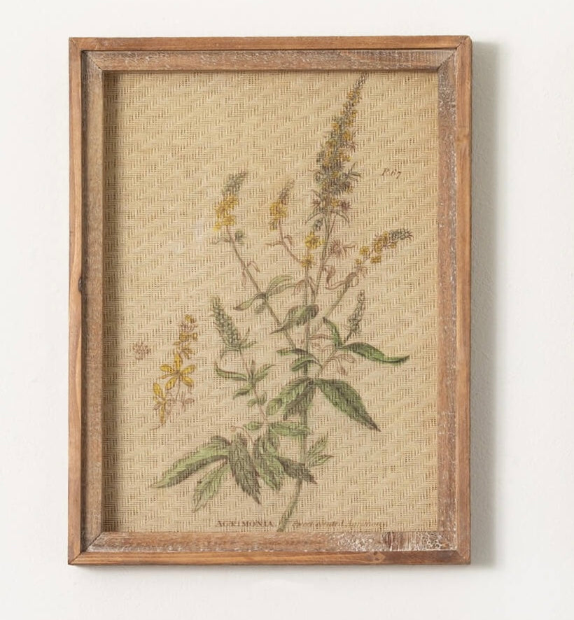 Vintage Wildflower Framed Art