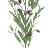 Silk Olive Branch