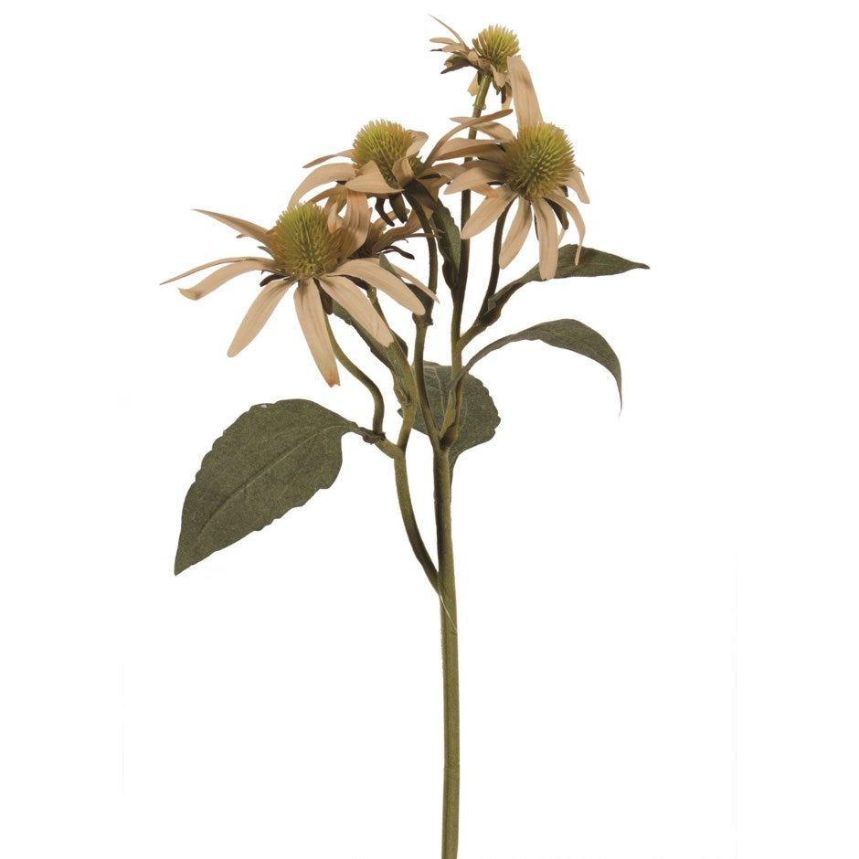 Silk Echinacea Bundle